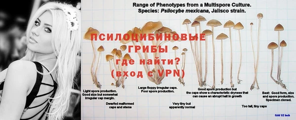 мескалин Абдулино